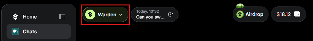 Manage AI chats in Warden